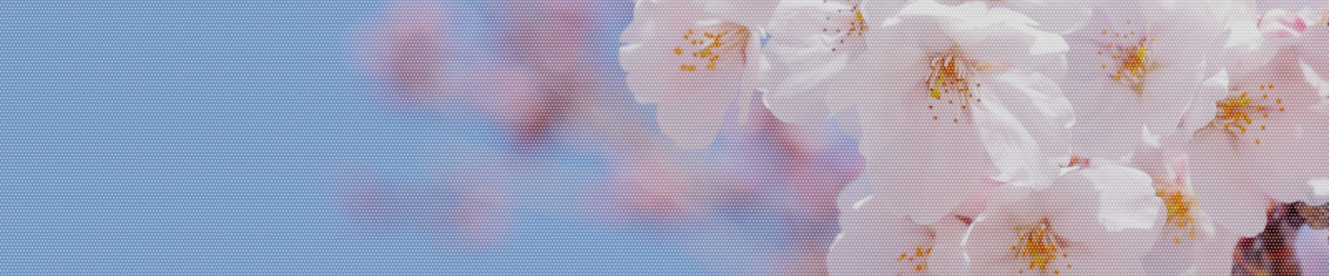 お問い合わせはこちら